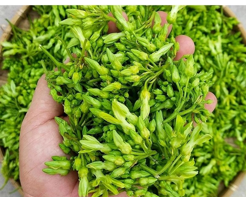 y-nghia-hoa-thien-ly
